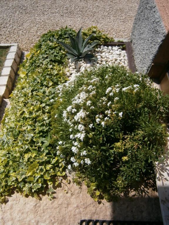 B&B Carmen Biondani Пескантіна Екстер'єр фото